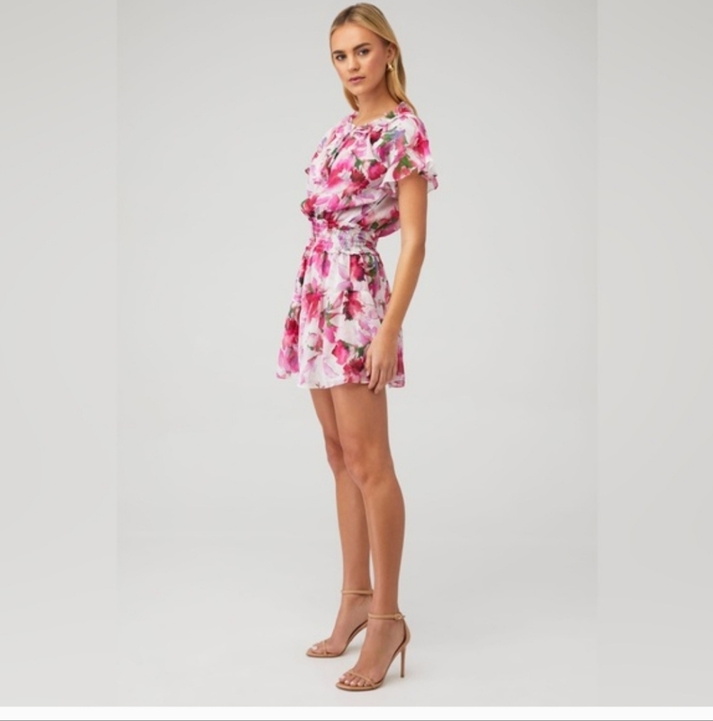 MISA Natalia Dress Size XS NWT Floral Feminine